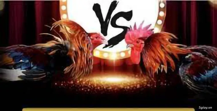 Đá Gà MMLive Trực Tiếp Đỉnh Cao Chinh Phục Mọi Kèo Cược