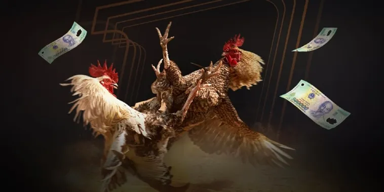 Đá Gà MMLive Trực Tiếp Đỉnh Cao Chinh Phục Mọi Kèo Cược